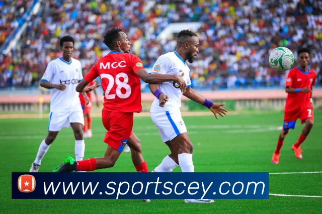 体育下注平台生态图